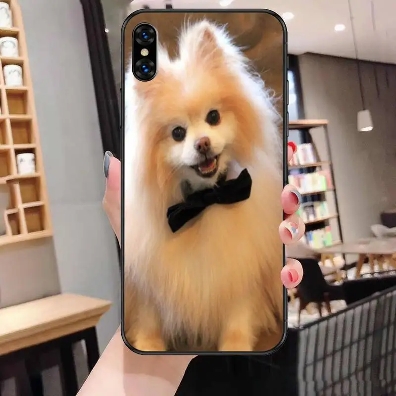 

Yinuoda Pomeranian dogs dog Colorful Cute Phone Case For Black-Iphone 5 5s se 6 6s 7 8 11 12 X Xs Xr Pro Plus Max Mini Cover