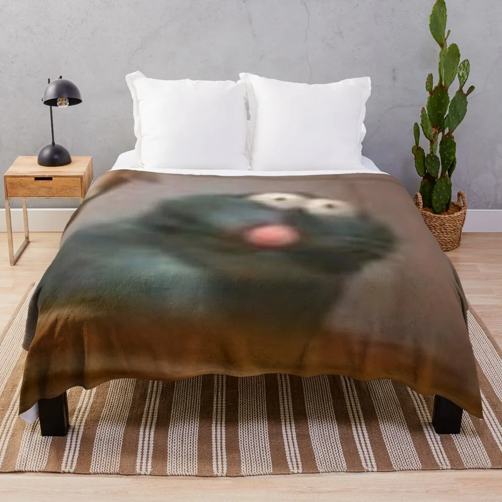 

Одеяло с Рататуй, плюшевое покрывало для кровати, дивана, мягкое теплое Флисовое одеяло из шерпы, для детей, мальчиков, девочек, для взрослых,...