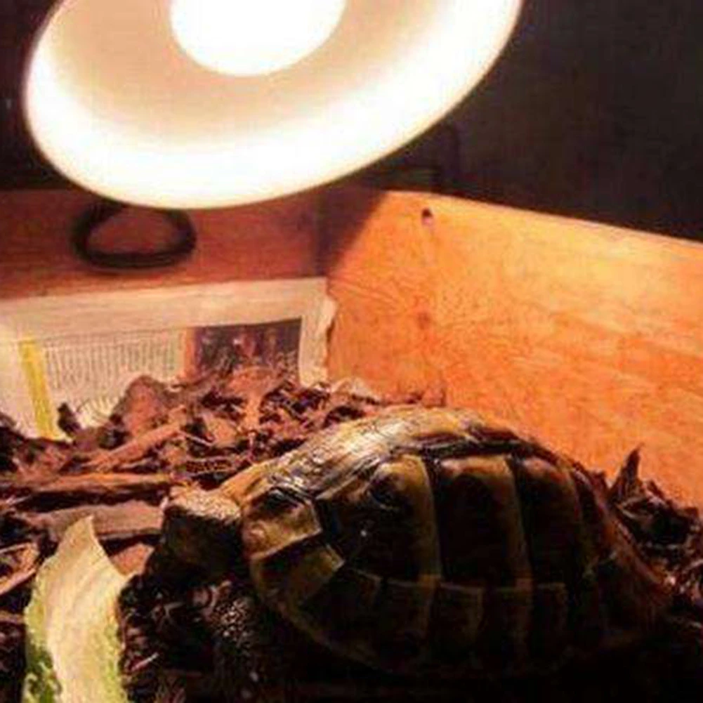 Лампа для обогрева домашних животных дневной и ночной светильник амфибийский в