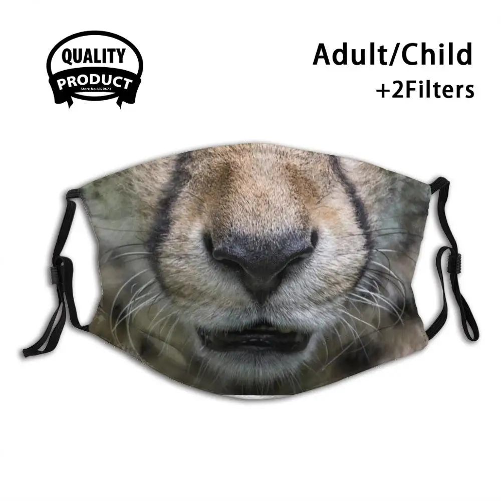 

Cheetah Face Protective Mask Reusable Mouth Mask Washable Filter Anti Dust Face Masks Cheetah Acinonyx Jubatus Cheetah Lovers