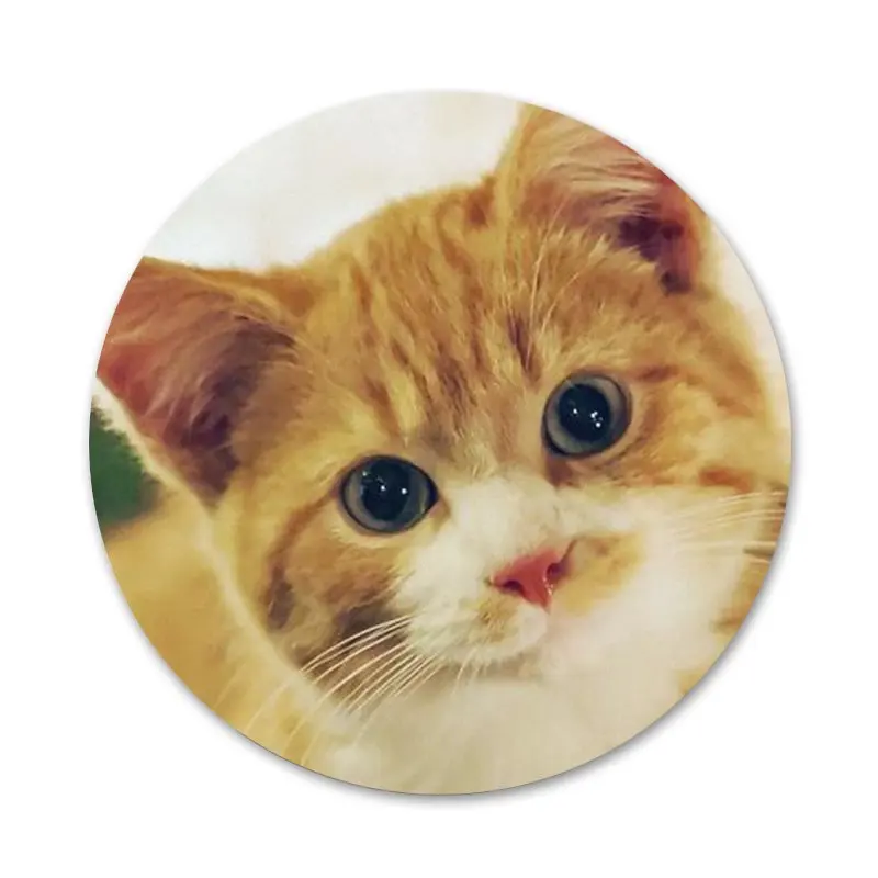 58mm Cute Animal Pet Cat Icons Pins Badge Decoration Brooches Metal Badges For Clothes Backpack Decoration images - 6