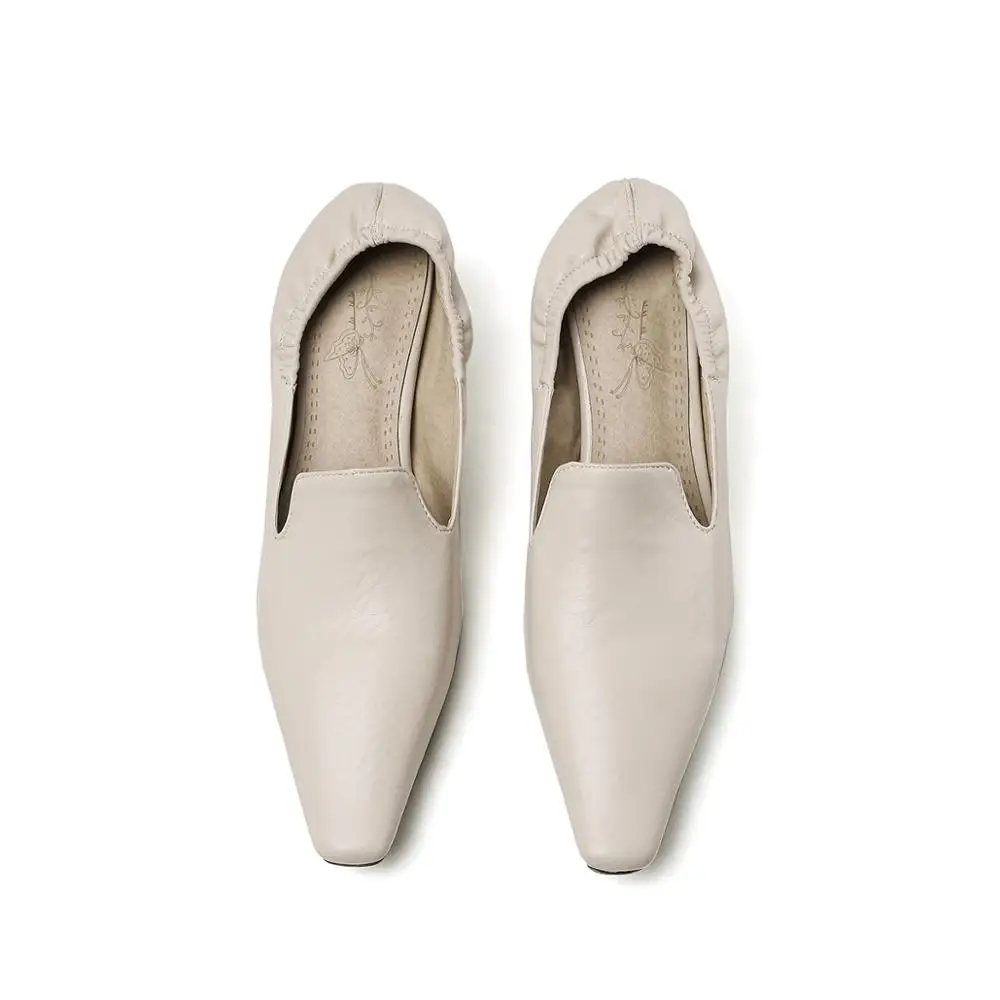 Бесплатный магазин котенок в британском стиле с трендовым весенним трендом