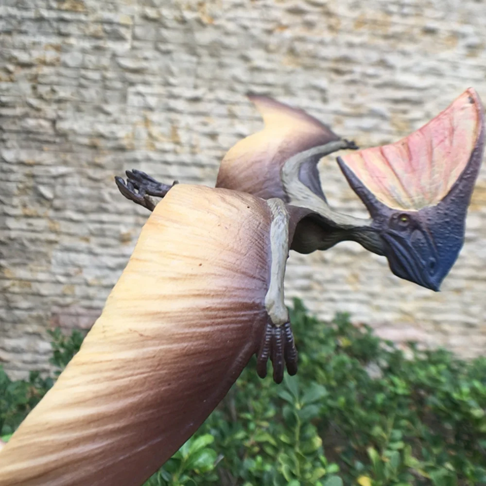 

1pc Pterosaur Model Archaeopteryx Model Simulation Model Animal Figurine Early Educational Developmental