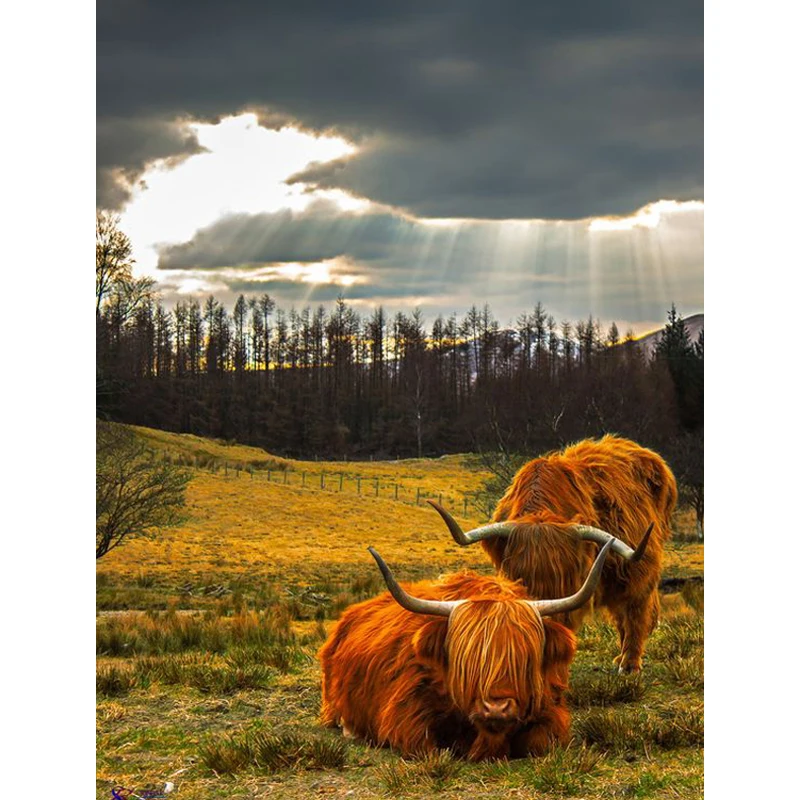 5D Алмазная мозаика вышивка картина полная круглая крестиком Мозаика рукоделие