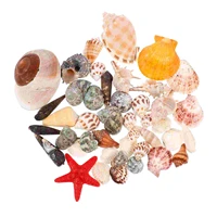 1 set aquarium shell decor conch ocean sea shells fish tank decorative adorns