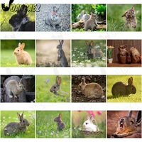 little rabbit in the grass diamond painting 5d diy mural modern cute animal diamond inlaid home room decoration accessories