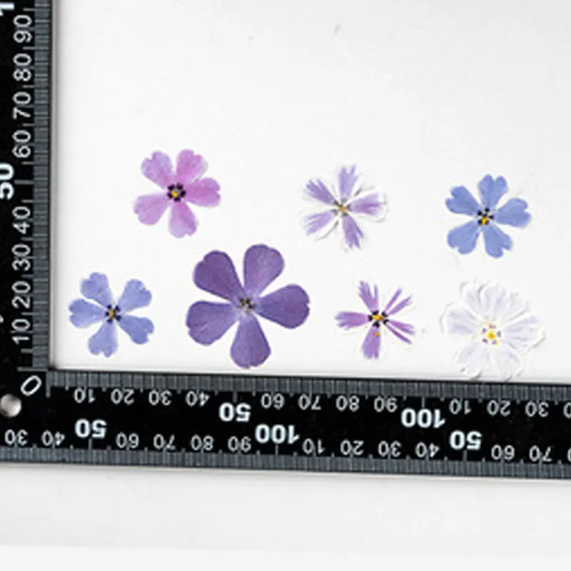 Сушеные цветы круглой формы для рукоделия бесплатная доставка 120 шт. | Дом и сад