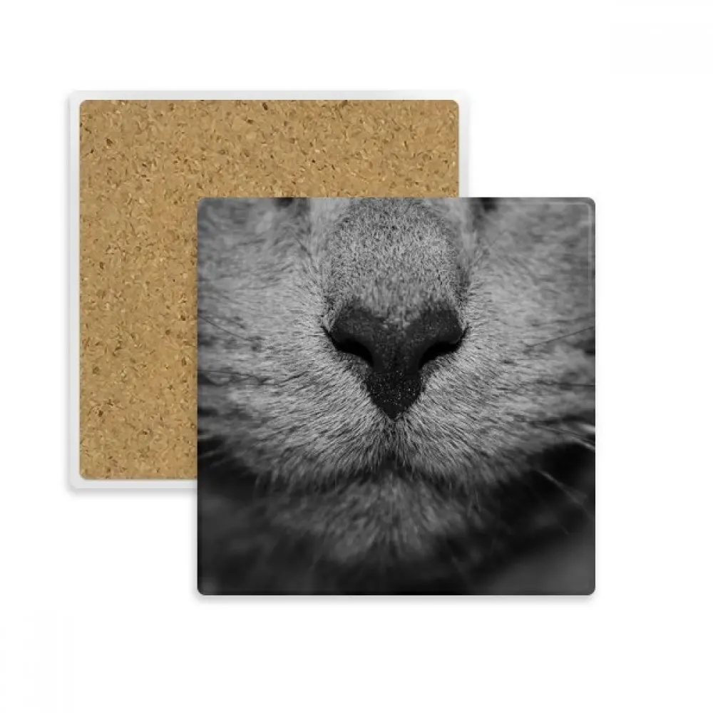 

Animal Cat Photograph Shoot Picture Square Coaster Cup Mug Holder Absorbent Stone for Drinks 2pcs Gift