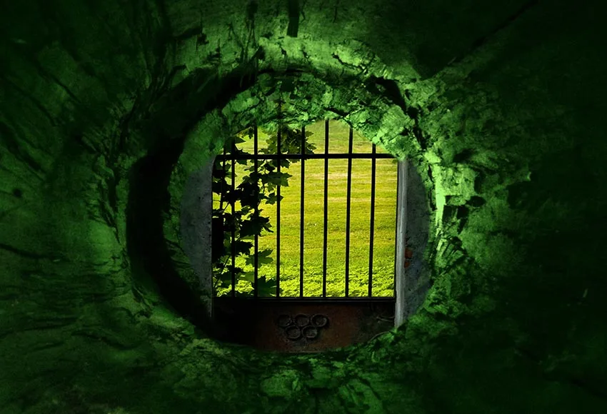 Виниловый фон для фотосъемки с изображением сказочного леса | Электроника