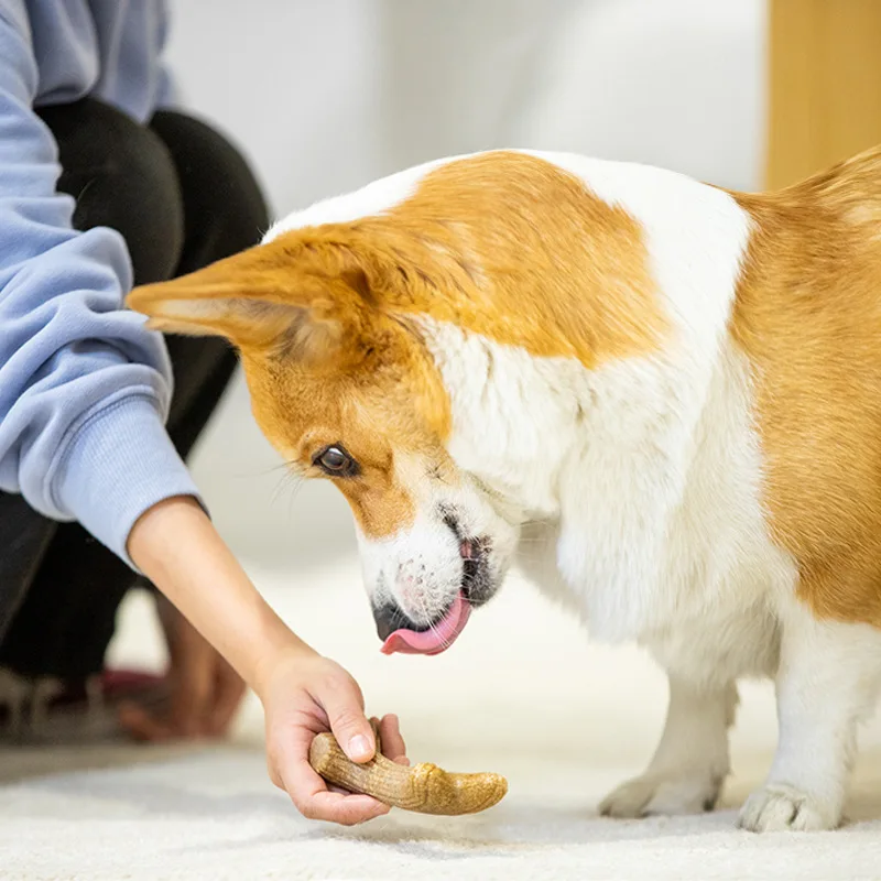 

Pet Dog Chew Toys Wooden Antler Molar Teeth Clean Stick Toys For Small Medium Large Dogs Pet Chew Game Puppy Accessories
