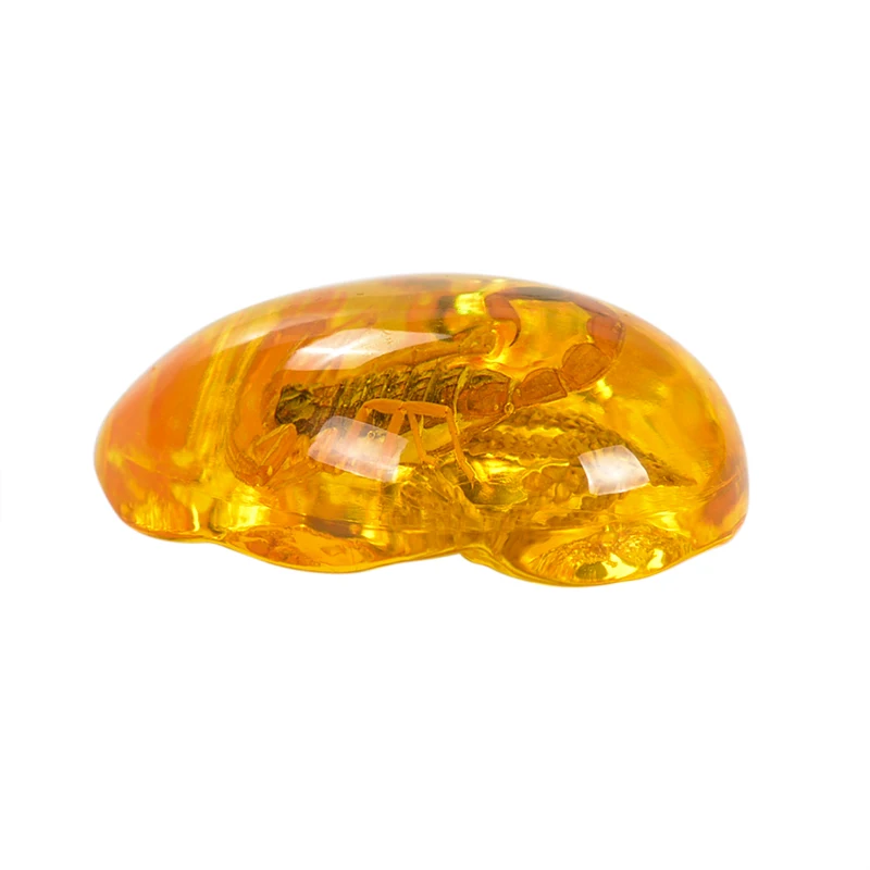 

Natural Scorpions Insect Inclusion Amber Baltic Gemstone Pendant Necklace Sweater Decorations DIY Ornament Craft Gift