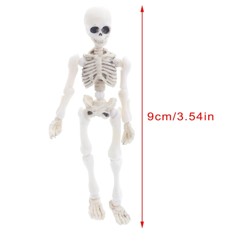 

Movable Mr. Bones Skeleton Human Model Skull Full Body Mini Figure Toy Halloween