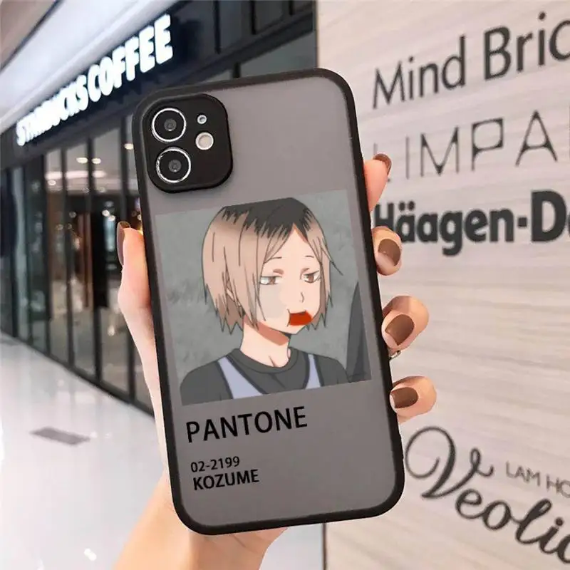 

karasuno high haikyuu volleyball team pantone Phone Case matte transparent For iphone 7 8 11 12 plus mini x xs xr pro max cover