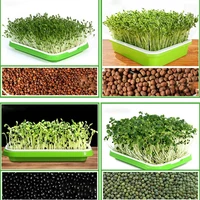 seedling trays for bean sprouts soilless culture hydroponics sprouting pots sprouts seedlings seedling trays