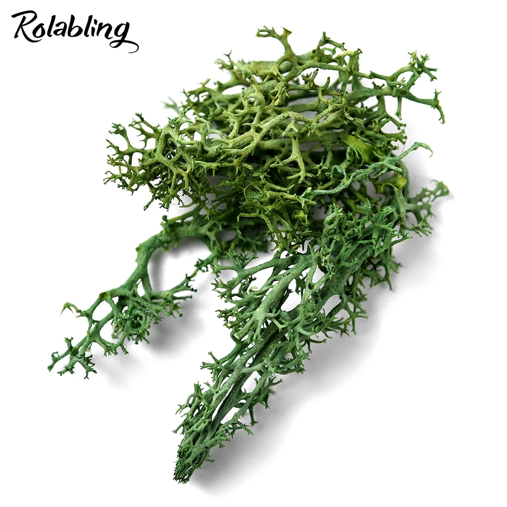Rolabling 1 упаковка сушеные морские водоросли украшения для ногтей красочные 3d