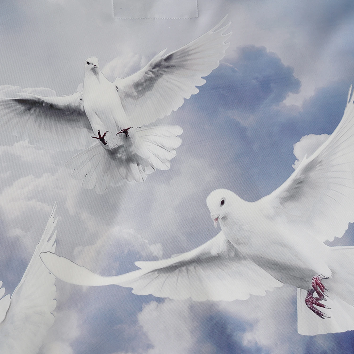 LACIBLE градиент голубь с буквенным принтом толстовки капюшоном Мужские 2019 Harajuku