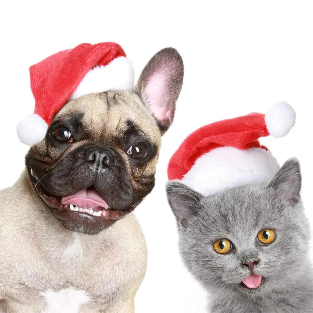 1pcs Pet Christmas Hat Santa Claus for Cats Dogs Puppy Xmas Decoration Festival Party Dog Small Care Toys | Дом и сад