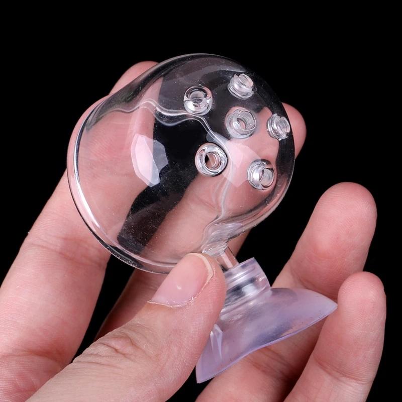 Пинхол Стекло горшок чашка для растений держатель креветки аквариума водных