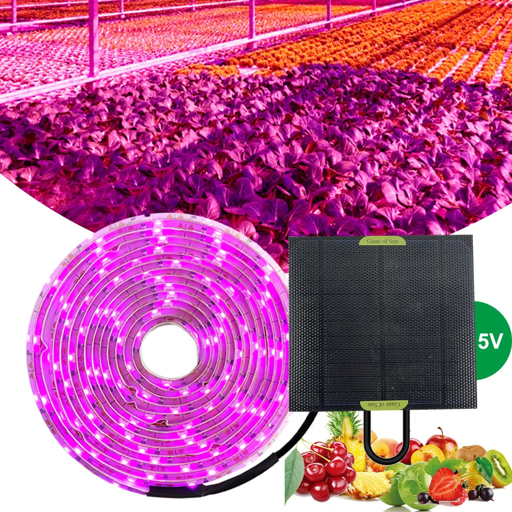 0.5-5m Plants Greenhouse Hydroponic Growing Lamps 20W 5V 2835 Full Spectrum Chip Lamp Beads Solar Panel LED Grow Light Strip