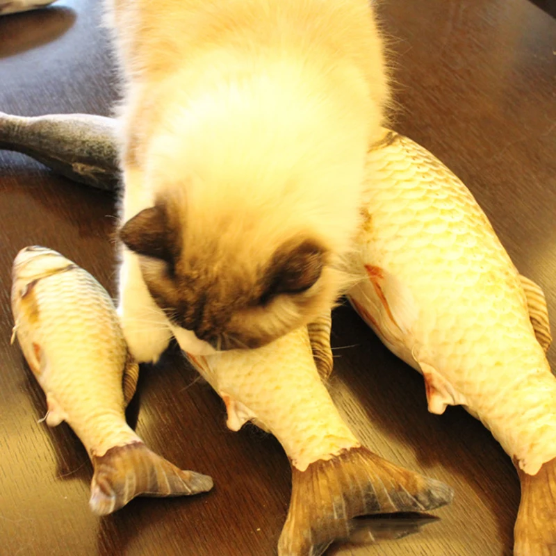 

Pet Soft Plush 3D Fish Shape Cat Toy Interactive Gifts Fish Catnip Toys Stuffed Pillow Doll Simulation Fish Playing Toy For Pet