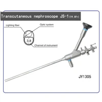transcutaneous nephrpscope percutaneous endoscope