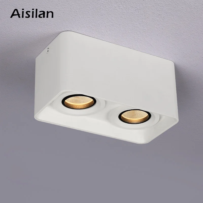 Aisilan поверхностного монтажа квадратный потолочный светильник с двойной головкой