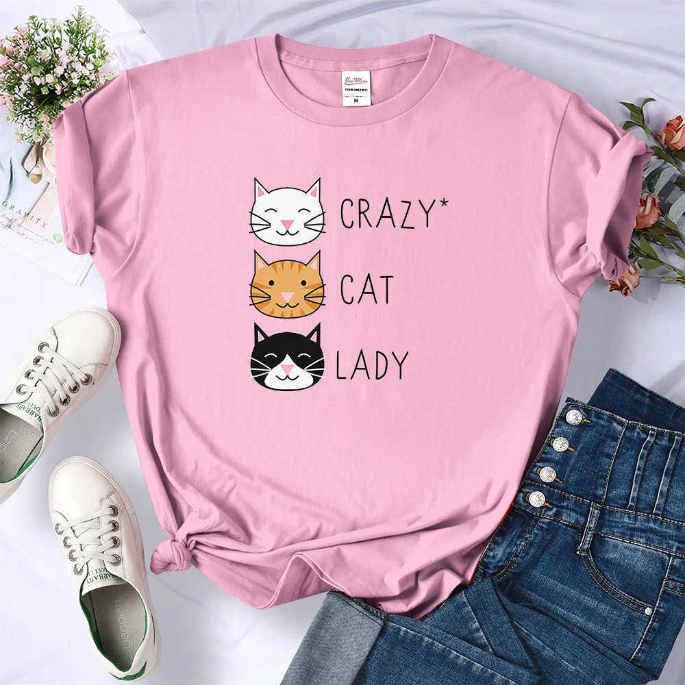 Loose Casual Crazy Cat Lady Cute Hip Hop T Shirts Women Fashion Sweat Clothing Summer Tops New Crewneck Womens T-Shirts | Женская одежда