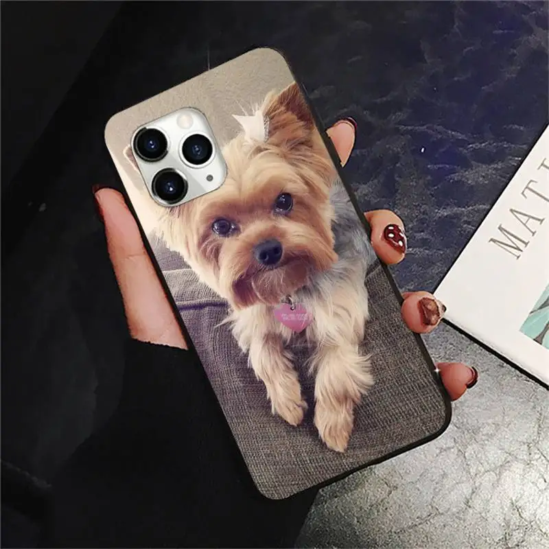 

Mini Yorkshire Terrier Dog Phone Case for iPhone 11 12 pro XS MAX 8 7 6 6S Plus X 2020 XR Mini