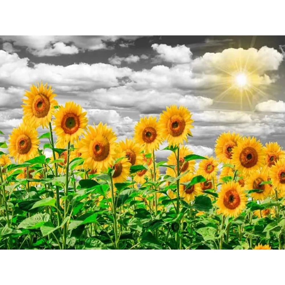 

YI BRIGHT Square Diamond Painting Sunflower Diamond Embroidery Flower See River Mosaic Cross Stitch Home Decoration