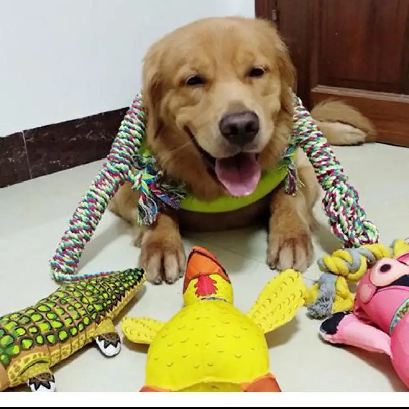 

Pig Chicken Canvas Pet Toy For Small Medium And Large Dog Molar Bite Resistant Dog Toy Outdoor Interactive Package Mail