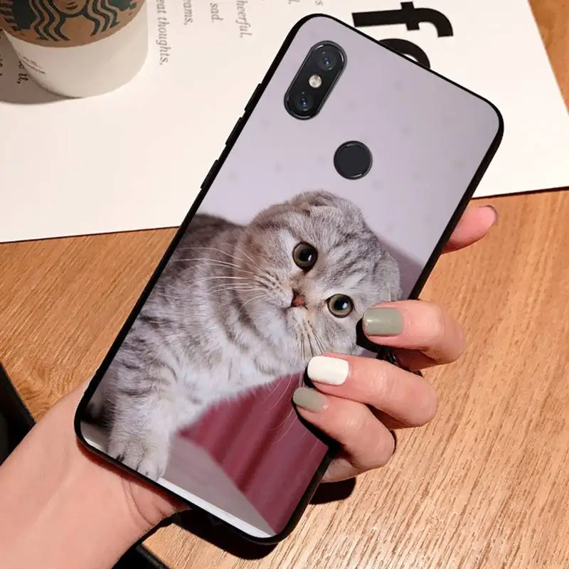 

cute cat Phone Case For Xiaomi Redmi 7 8 9t a3 9se k20 mi8 max3 lite 9 note 9s 10 pro