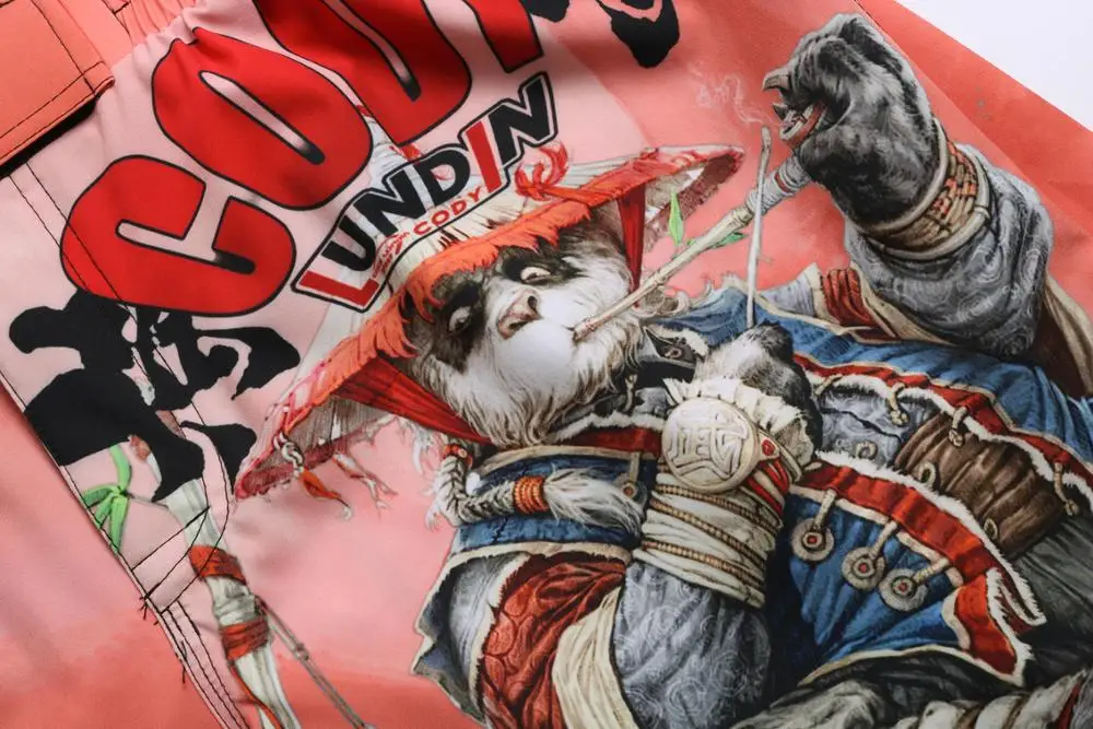 Мужские боксерские штаны с рисунком MMA шорты для кикбоксинга бокса панда Муай Тай