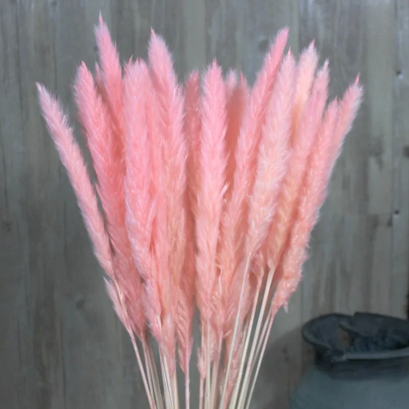 30 шт. Натуральные Сушеные пампасы трава тростниковые сушеные цветы натуральные
