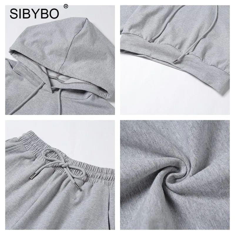 

SIBYBO Autumn Winter Casual Outfits Women Two Piece Set Sweatshirt Top And Pants Tracksuits Gray Fitness Matching Sets 2020