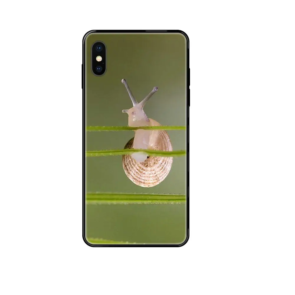 Черный мягкий крутой лучший чехол для Xiaomi Mi Note A1 A2 A3 5 5s 6 8 9 10 SE Lite Pro Ultra Animal Baby Snails |