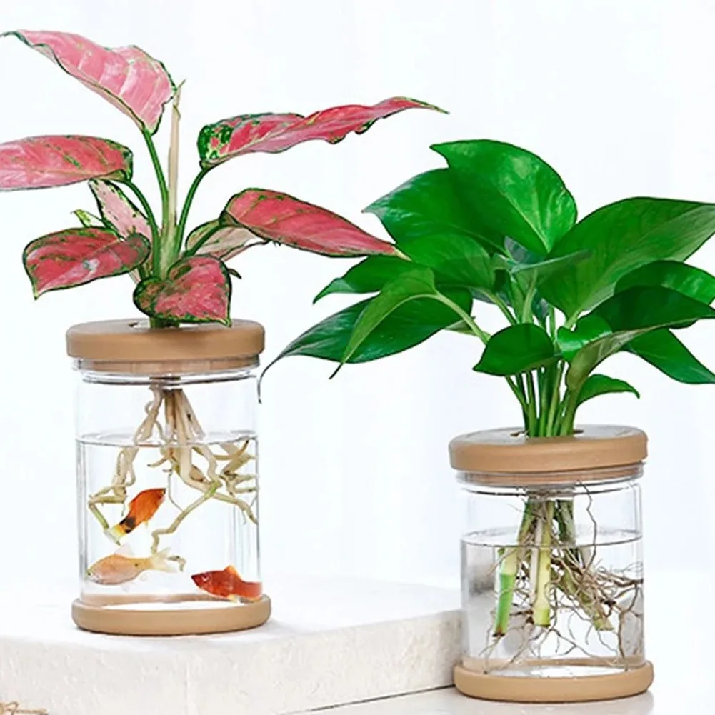 

PET Clear Hydroponic Flower Pot Planter Automatic Water-absorbing Flowerpot Plant Pots Lazy Transparent Flower Pot