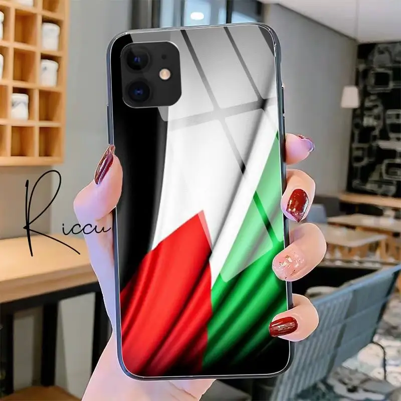 

Palestine Flag Phone Case Tempered Glass For iPhone 11 Pro XR XS MAX 8 X 7 6S 6 Plus SE 2020 12 Pro Max Mini case