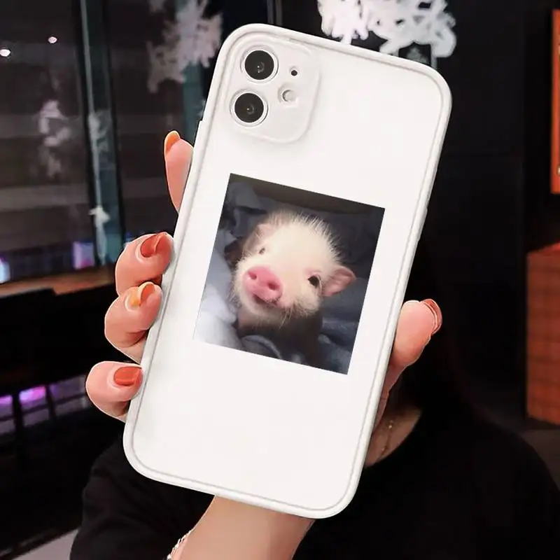 

Cute Little Pink Pet Pig Phone Cases Matte transparent For White iPhone 12 Mini 11 Pro XR XS Max 7 8 Plus X Back Cover
