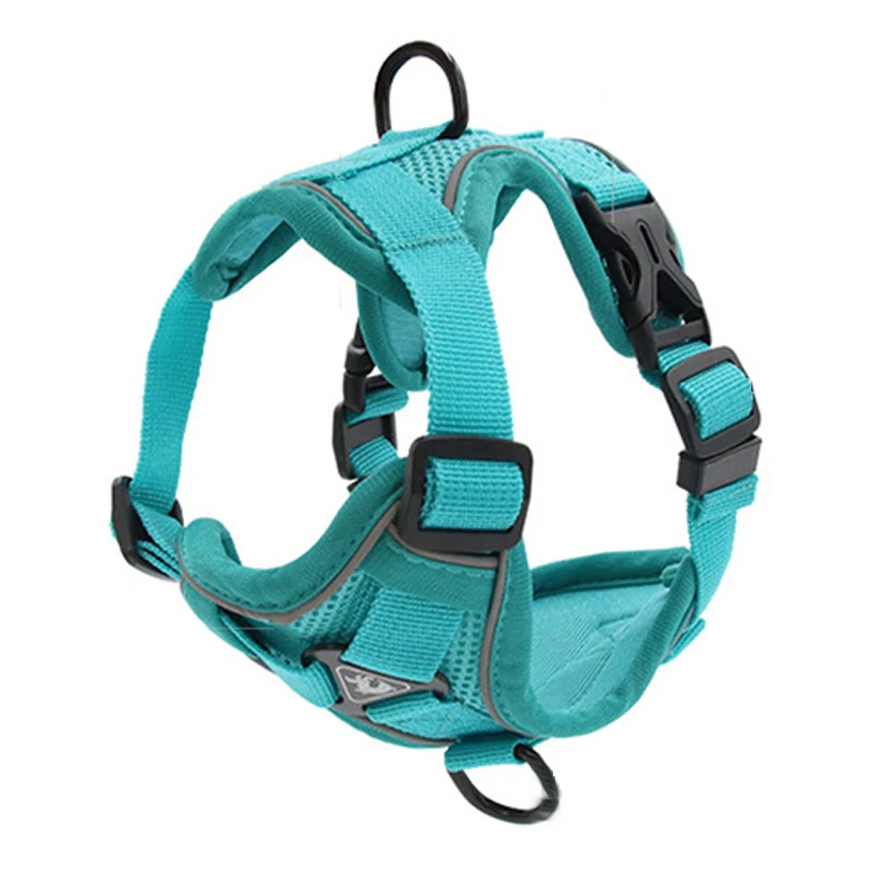 Dog Harness No Pull Turquoise Breathable Pet Harness Vest for Small Dog Light Weight Durable Puppy Harness with Walking Lead Set