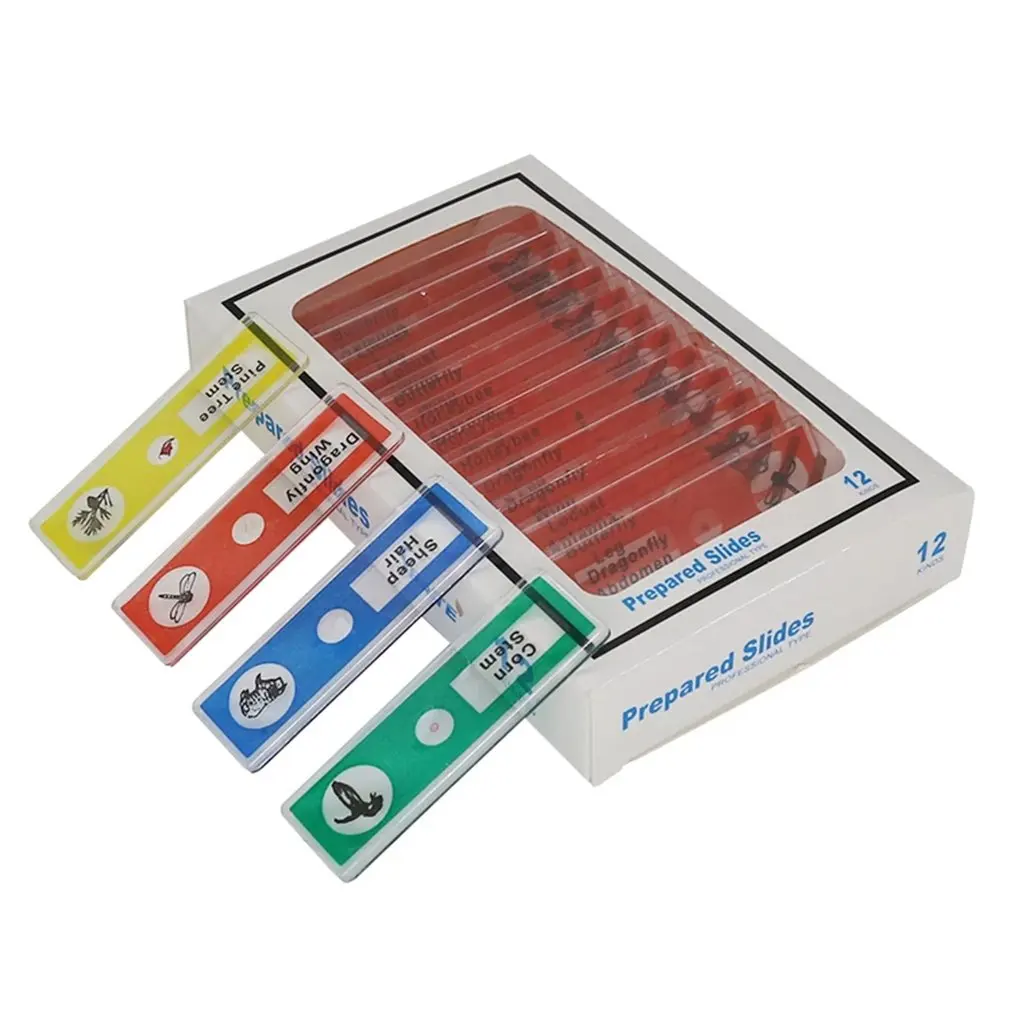 

48pcs Kids Plastic Prepared Microscope Slides Of Animals Insects Plants Flowers Sample Specimens For Stereo Microscopes