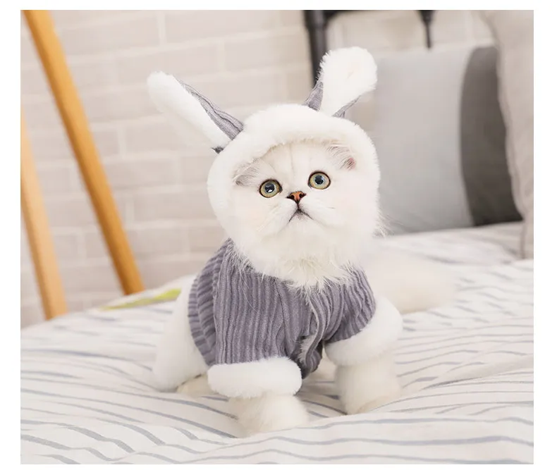 Теплая одежда для кошек HOOPET, зимняя куртка для питомцев, щенков, котят, куртка для маленьких и средних собак, кошек, чихуахуа, одежда, костюм