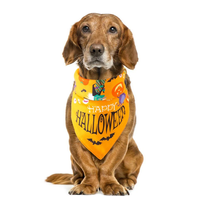 

5 Styles Halloween Dog Bandana Bibs Scarf Collar Grooming Accessories Triangular Bandage Collar Small Medium Large Pet Design