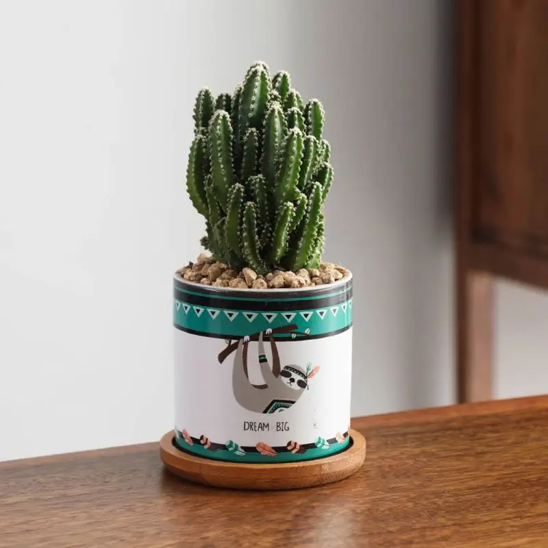 

Ceramic Succulent Planter, Cactus Plant Pot with Beautiful Pattern, Cute Pot with Bamboo Tray, Perfect for Home Office and