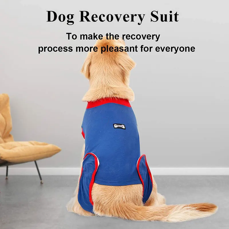 

Dog Recovery Suit After Surgery