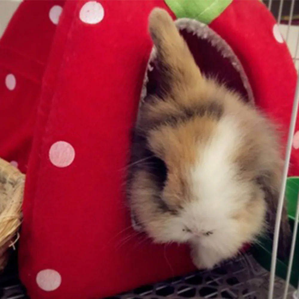 Кролика Гвинея свинка хомяк дом кровать с милым маленьким для питомцев зимний