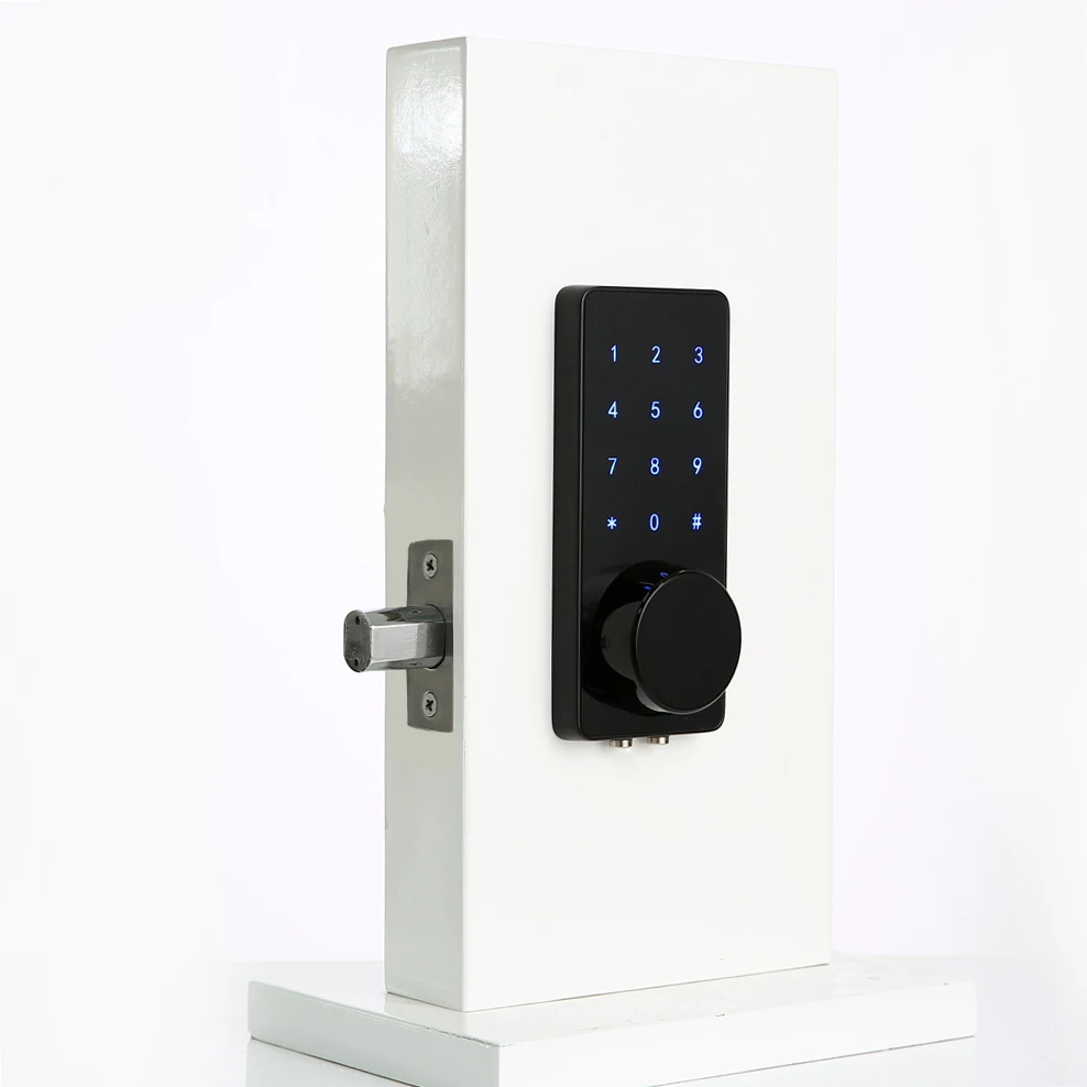 Wi Fi Интернет дистанционное управление сенсорный экран bluetooth smart deadbolt дверной