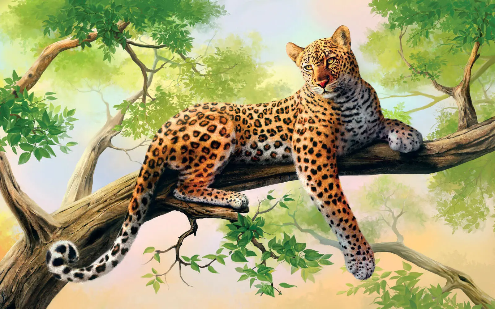 

Resting Leopard in tree Art Silk Poster Print 24x36inch