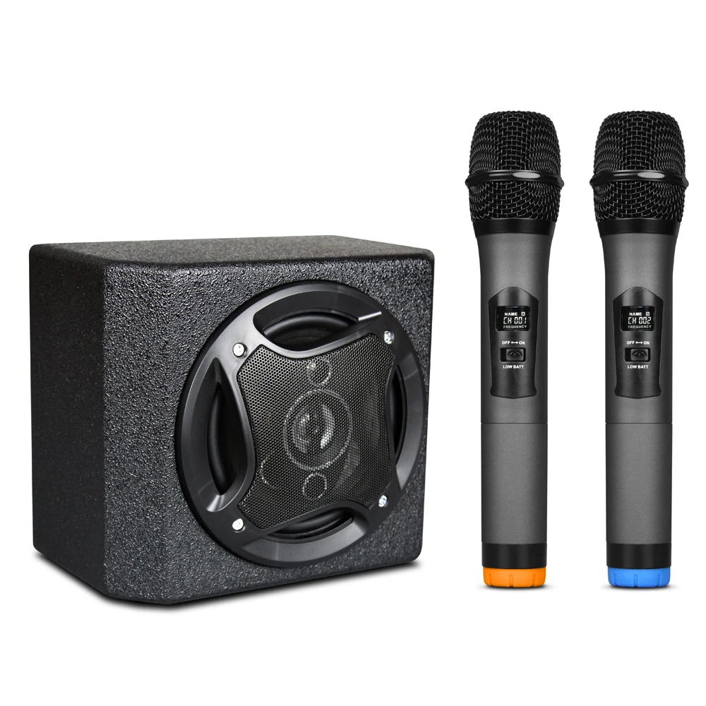 Портативная система PA для караоке с 30 Вт Bluetooth динамиком и беспроводными