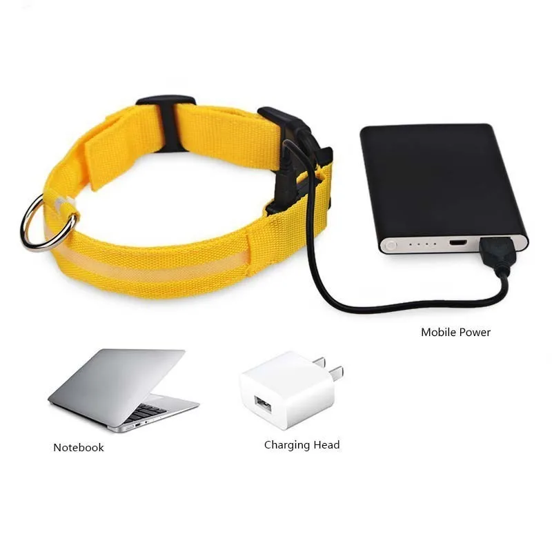 Светодиодный ошейник для собак с зарядкой по USB ночник мигающим свечением и кошек