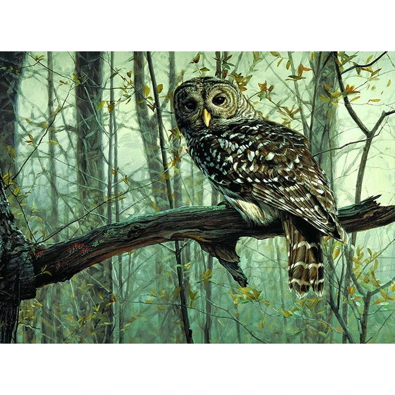 Картина по номерам Сделай Сам дропшиппинг 40x50 50x65 см, вид на сову, животное, холст, свадебное украшение, художественная картина, подарок - Цвет: X126